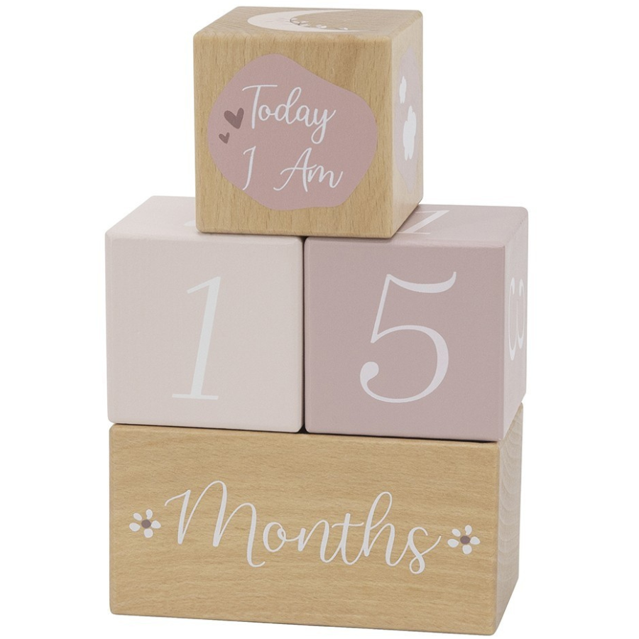 5c8b55b6538b8136b562d6c026b1e837