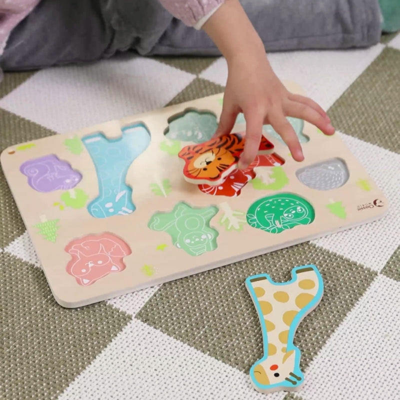 87e56a6e6342bbe15c0d335407a95501