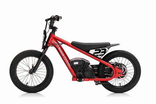 Baigor 23 Pro red 24V 250W electric motorbike with lithium-ion battery and disc brake