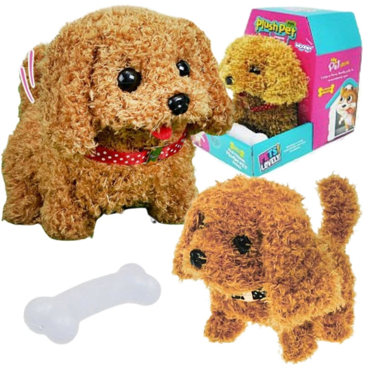 484f079af16d9a5ccaf99a626a73c374