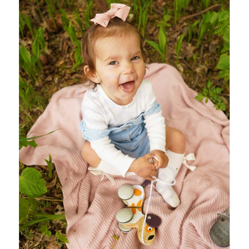 1e48532f6d1f40abccb8df24447f3b92