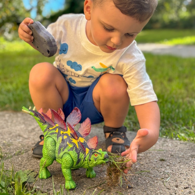 7a72290730402d8272792219f529bfa9