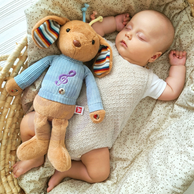 260a3fc71464960ce65bb253080f1312