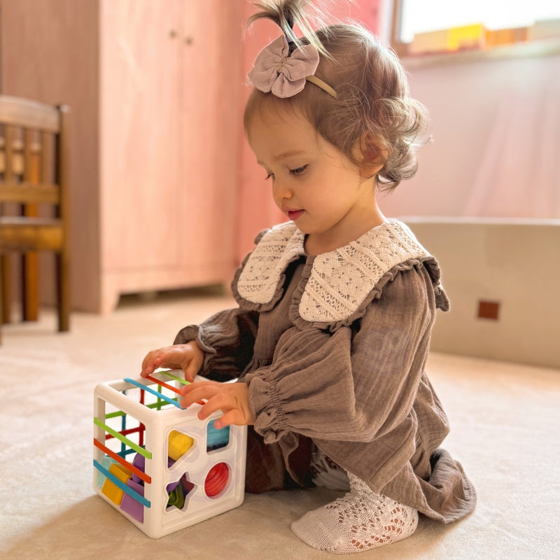 1cc858ab816c2f8c4ec1ad49b777c7b6