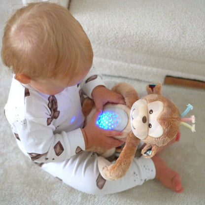 0e8c7e59f26e31b1a1ab2ee72c29d429