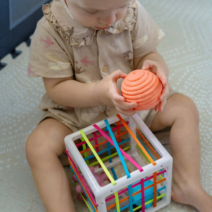 a88f436a44482fa35cc832b57e0ad0e2