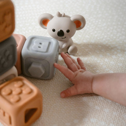 41712c00fc1a4121a2a5727d5ac9499f